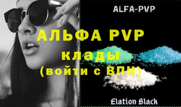 крисы Осинники