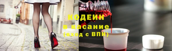 прущий лед Яблоновский