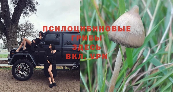 крисы Осинники