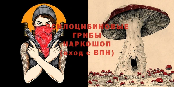 гидра Остров